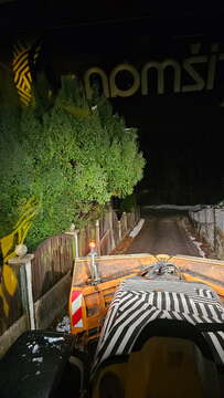 Neurejena vegetacija