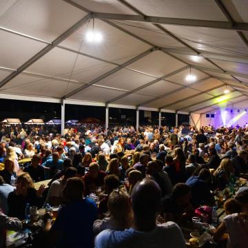 Dejan Koncert Dejana Vunjak in Brendijevih barab