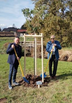 Zasaditev rožnatega drevesa v družbi župana Primoža Cimermana in podžupana Borisa Zupančič.