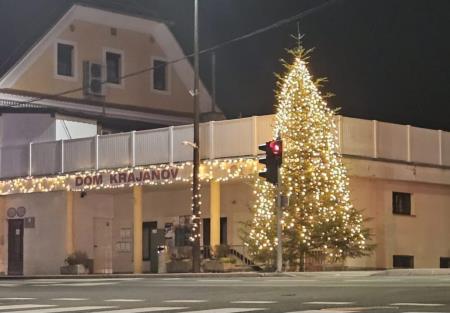 PRAZNIČNA OBČINA ŠKOFLJICA: Okrašena smreka na Lavrici