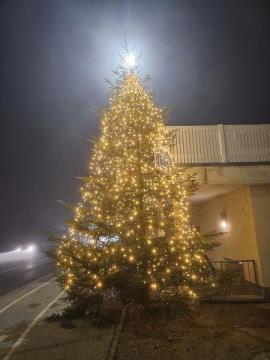 PRAZNIČNA OBČINA ŠKOFLJICA: Okrašena smreka na Lavrici
