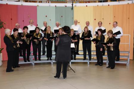 PRAZNIČNA OBČINA ŠKOFLJICA  -  FOTO UTRINKI ( foto: Franci Hrastar)