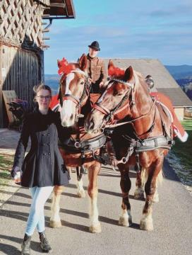 PRAZNIČNA OBČINA ŠKOFLJICA  -  FOTO UTRINKI ( foto: Franci Hrastar)-12-24_09-22-35-645