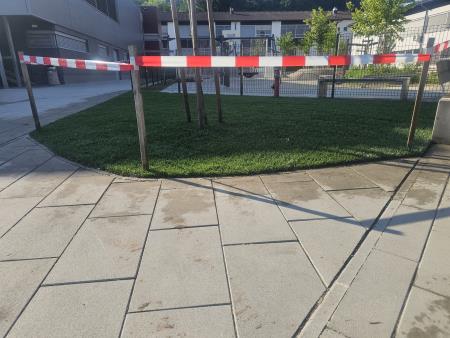 Dela v ObčiniDela v Občini Škofljica - zasaditev pred športno dvorano
