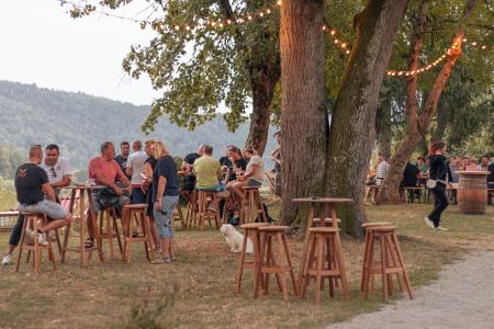 POLETNI GRAJSKI VEČERI NA GRADU LISIČJE 2024