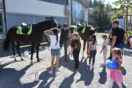 OTROŠKO DOPOLDNE 2025